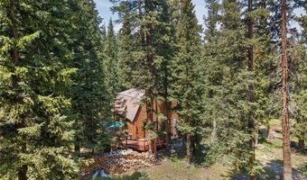 477 COUNTY ROAD 674 477, Breckenridge, CO 80424