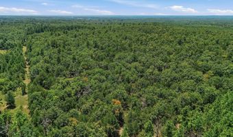 0001 E 1930 Rd, Antlers, OK 74523