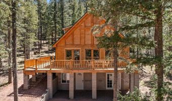 6 County Rd 2042, Alpine, AZ 85920