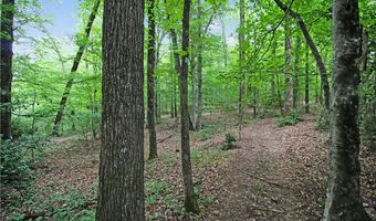 3897 MOORES MILL Rd, Auburn, AL 36830