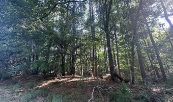 Lot 3a Elberton Highway, Lincolnton, GA 30817