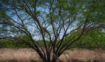 TR 4 Fm 735, Alice, TX 78332