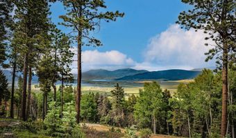 10 Brazos Dr, Angel Fire, NM 87710