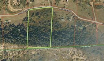554 Pine Spring Dr, Bayfield, CO 81122