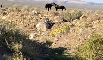 120 Rainbow Road Lot 074-010-11, Gerlach, NV 89412