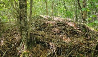 B-2BackLot Pioneer Path, Aurora, ME 04605