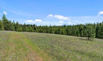 Nna Mesa Drive, Careywood, ID 83809