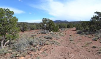 32 N8544 398, Concho, AZ 85924