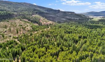 181 E Deer Meadow Ln, Blanchard, ID 83804