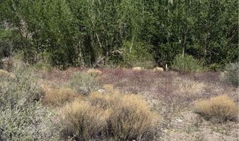 Carp Road, Caliente, NV 89008