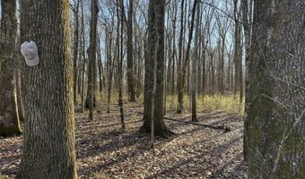 6075 Curtis Rd, Batesville, MS 38606