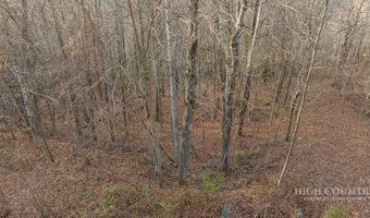 Larkspur Trail lot 33, Banner Elk, NC 28604