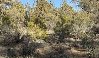 Canvasback, Bonanza, OR 97623