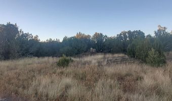 1 COUNTY ROAD N8155, Concho, AZ 85924
