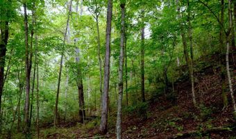 State Route 550, Amesville, OH 45711