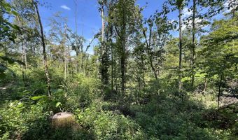 3708 E New Roe Rd, Adolphus, KY 42120
