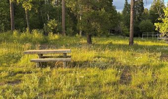 13643 Sundance Trl, Bigfork, MT 59911