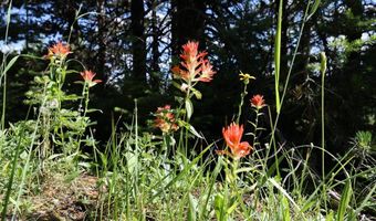 Beehive Basin Road, Big Sky, MT 59716