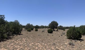 110 Mesa Redondo Ranch Rd, Concho, AZ 85924