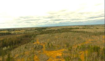 TBD40 Township Road 5743, Alborn, MN 55702