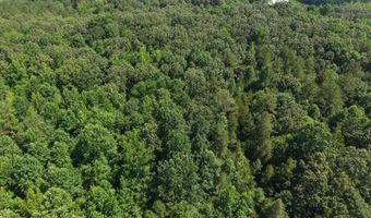 0000 Mifflin Rd, Beech Bluff, TN 38301
