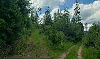 Arlee Pines lot 21, Arlee, MT 59821