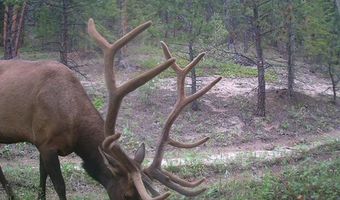 County Road 59, Allenspark, CO 80510