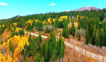 ROBERTS Road lot 0, Alma, CO 80420