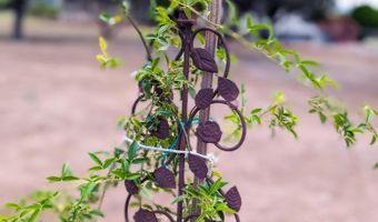 5200 S SPENCER Trl, Camp Verde, AZ 86322