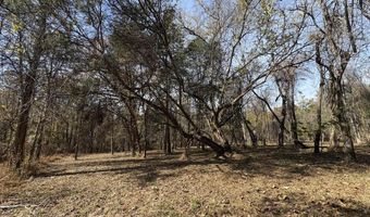 Parcel A DULWICH DR, Amherst, VA 24521