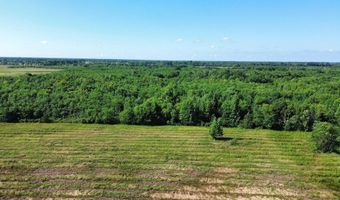 Pine Prairie Rd, Ashdown, AR 71822
