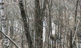 493 Wheeler Mountain Rd, Barton, VT 05822