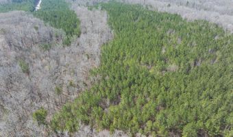 Cassam Road, Bahama, NC 27503