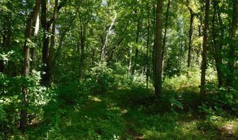98 63 AC Pointer Rd, Alton, VA 24520