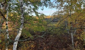 31538 County 23, Akeley, MN 56433