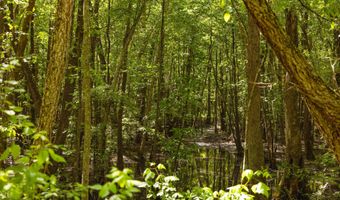 Beech Bluff Road, Beech Bluff, TN 38313