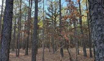 TBD Rural Atoka, Atoka, OK 74525