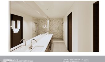 46 Red Spruce Ln 2, Beaver Creek, CO 81620