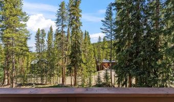 56 Burntwood Ln, Breckenridge, CO 80424