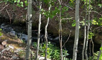 131 County Road 90, Allenspark, CO 80510