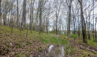 192 Mo 19, Alton, MO 65606