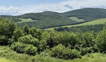 239 Small Rd, Brookfield, VT 05036