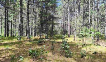 5 6 Acres 16th Ave Lot 3, Arkdale, WI 54613