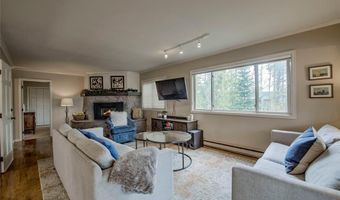 689 American Way, Breckenridge, CO 80424