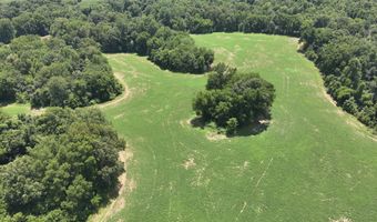 Hwy 1591, Bardwell, KY 42023