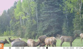 15098 CR 240, Bayfield, CO 81122
