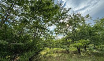 Tract 5 Highway 70, Bennington, OK 74723