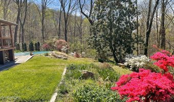 105 Wildwood Trl, Andersonville, TN 37705