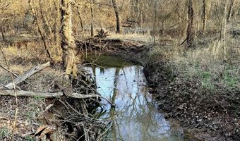0002 CR-290, Asbury, MO 64832
