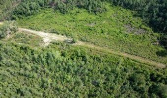 542 Lilla B Gaskins Rd, Alapaha, GA 31622